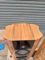 Ayon Audio Black Raven