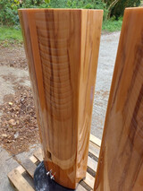 Ayon Audio Black Raven