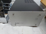 Art Audio Diavolo 300B