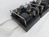Heart beat 300b SE