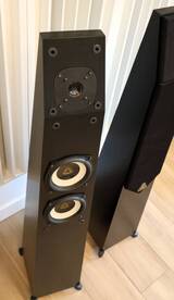 Avalon Acoustics Symbol