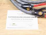 Wireworld Platinum Eclipse 8