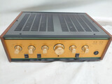Leben Hi-Fi Stereo Co. CS600