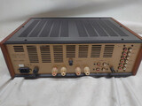Leben Hi-Fi Stereo Co. CS600
