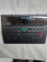 Meridian G98