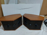 Bose 901