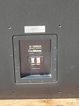 Yamaha NS1000M