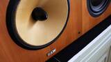 Bowers and Wilkins Nautilus HTM1