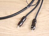 AudioQuest Wel Signature
