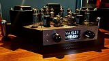 Manley stingray