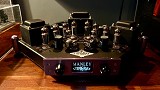 Manley stingray