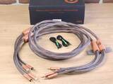 Ansuz Acoustics Speakz D3