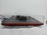 Rega Planar 25 
