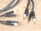 Ansuz Acoustics Speakz D