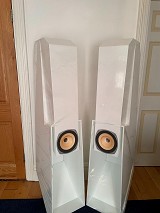 AER Acoustic Aerofon Horn Speakers with BD# Full Range Drivers