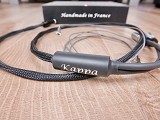 Esprit Kappa G8 Phono audio interconnect DIN-RCA 1,2 metre