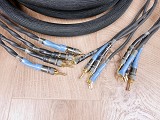 Signal Projects Hydra highend bi-wired audio speaker cables 4,0 metre